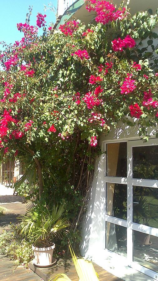 Cape Oasis Guesthouse Bloubergstrand Esterno foto
